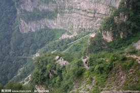 王莽岭风光