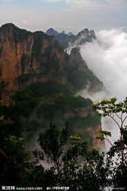 王莽岭风光