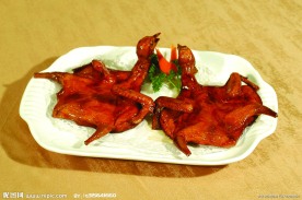 大地飞鸽