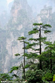 雄山秀色
