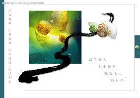 企业宣传画册