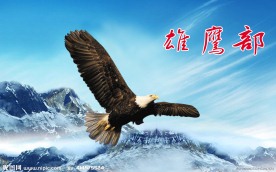 雄鹰 （分层不算精细）