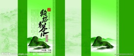 茉莉花茶