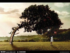 小孩 歪树 大树 风吹