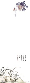 国画兰花