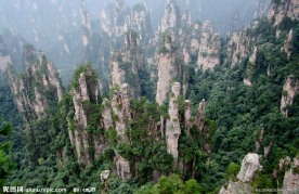 险峰丛林