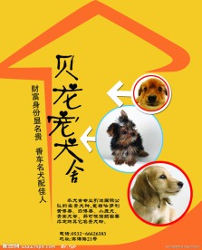 宠物店宣传海报模板