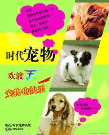 宠物店宣传海报模板