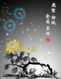 飞絮粉蛾金菊蝉