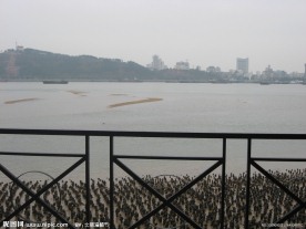 海边的栏杆