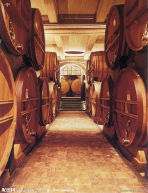 红酒窖