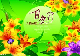 百合花