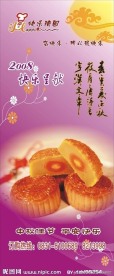 X展架 易拉宝