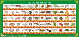 菜品标准