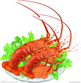 大龙虾