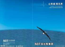 安达斯画册封面