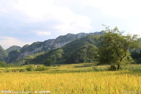 广南山脉
