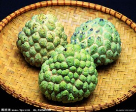番石榴