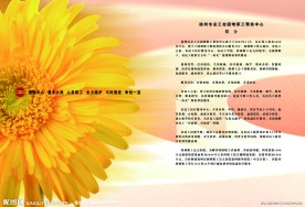 援助中心画册内页
