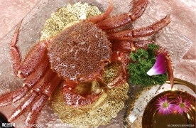 蟹 香槟蟹
