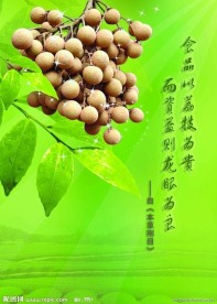 龙眼广告彩页