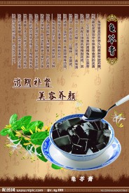 饮食餐饮 龟苓膏