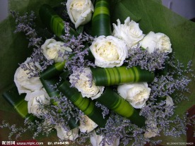 鲜花 玫瑰花 白玫瑰花 情人草 薰衣草 花束