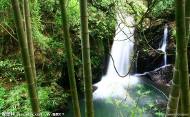 夏日风景