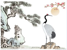 PS绘制中国画松树仙鹤图