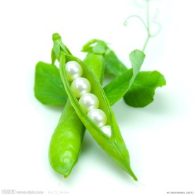 扁豆高清图片