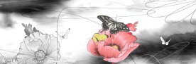 无框画图库