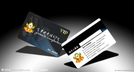 VIP 会员卡 贵宾卡