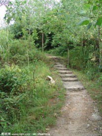 林间小道