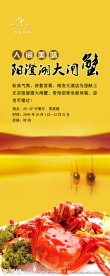 阳澄湖大闸蟹