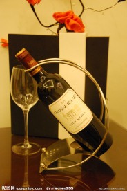 法国波尔多上美铎地区宝雅干红