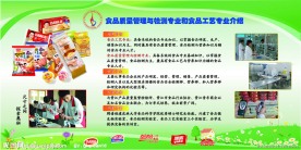 食品专业宣传栏