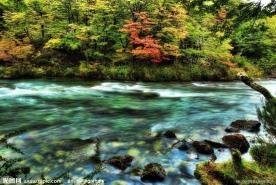 青山绿水