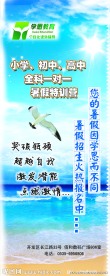 教学机构招生展架