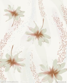 玉兰花
