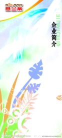 思兰蒂企业形象广告