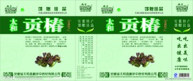 椿芽新包装