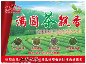 春茶上市
