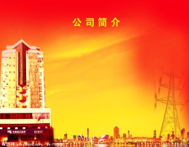 供电公司简介