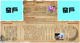 学校背景墙（2）
