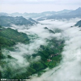 高山云雾