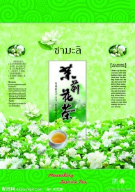 茉莉花茶