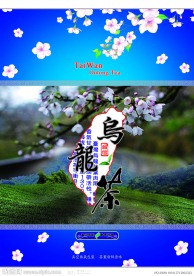 台湾乌龙茶