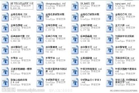 最新字体