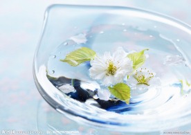 白色小花