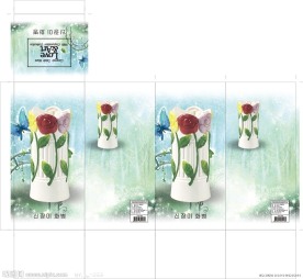 花瓶彩盒